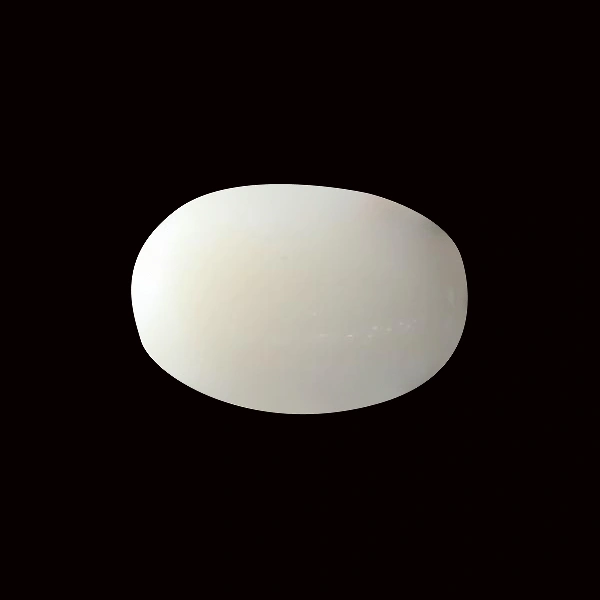 White Coral - 5.53 carats